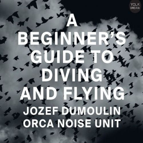 A beginner's guide to diving and flying