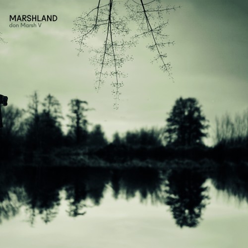 Marshland