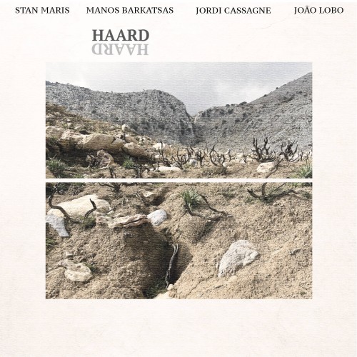 Haard