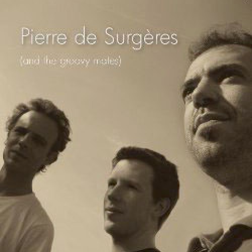 Pierre de Surgères & the Groovy Mates