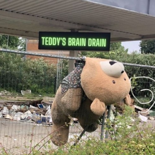 Teddy’s Brain Drain