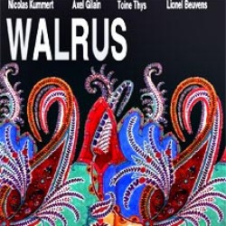 Walrus