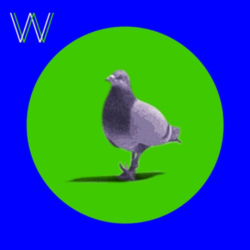 rare vogels // 23 residents weekend - saturday