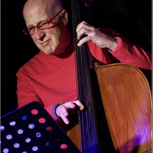 Alain Dhamen Trio