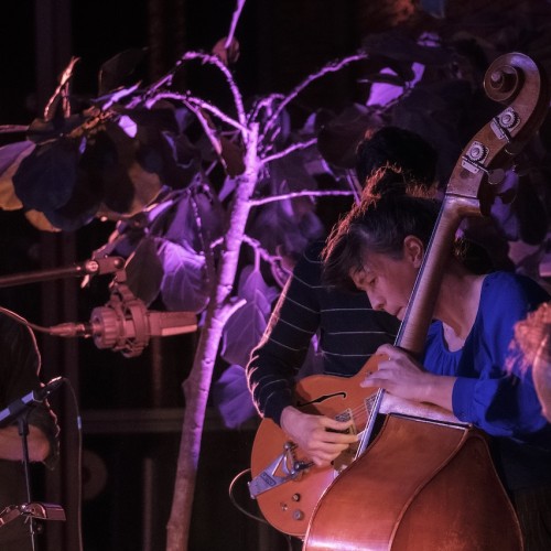 GingerBlackGinger + Tim Berne / Brax’ Tree + Anna Webber