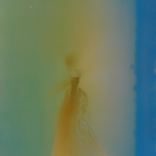 Carte Blanche à alejandra borzyk