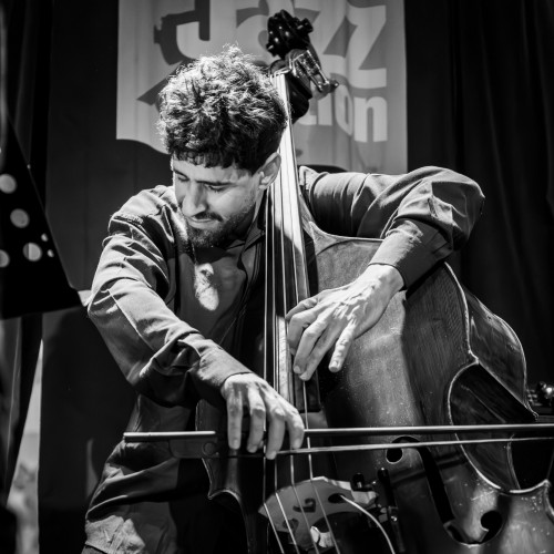 Barbastelle 'Cielo Vivo'