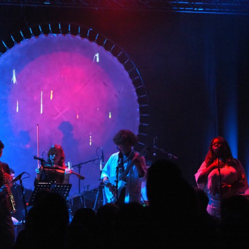 Woolvs Large Ensemble