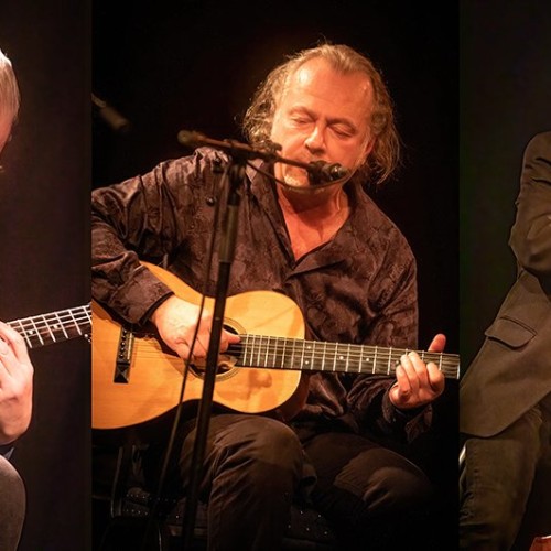 Marc Lelangue trio à la Brasserie Bertinchamps