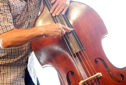 New newsletter jazz'halo - May 2025