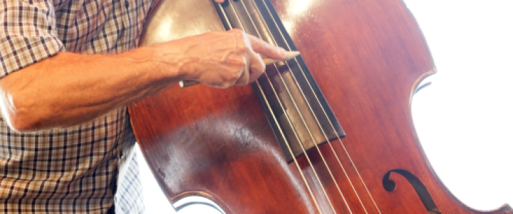 New newsletter jazz'halo - May 2025