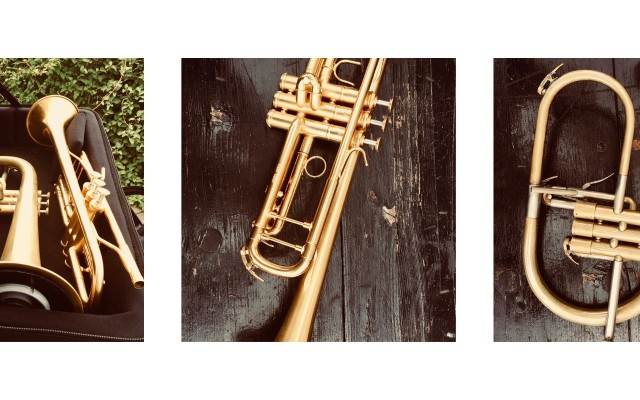 URGENT : Vol des instruments de Greg Houben