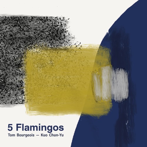 5 Flamingos