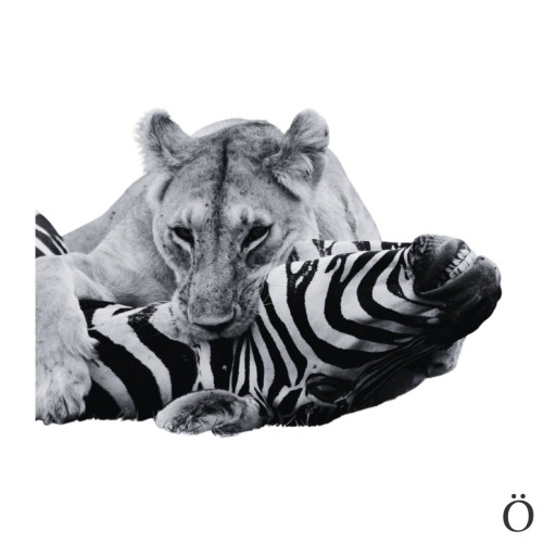 Live at Jazz Station