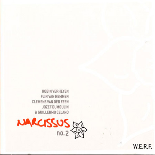 Narcissus n°2