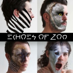 Echoes of Zoo
