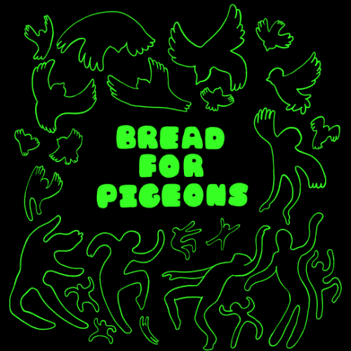 BREAD FOR PIGEONS