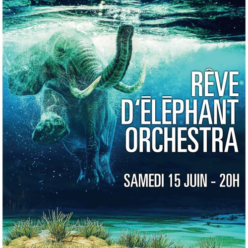 Rêve d'Éléphant Orchestra