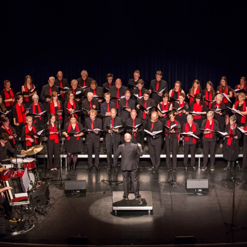 Vokalis  'When music sounds'