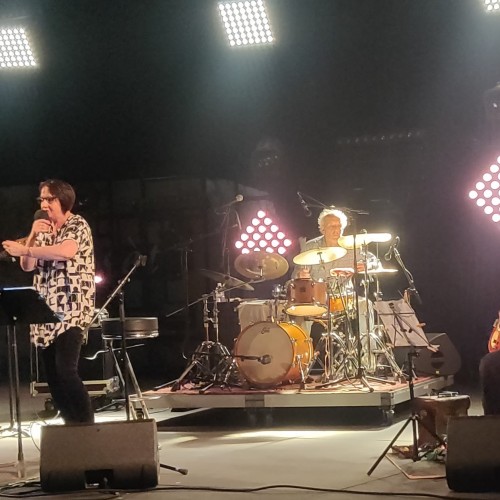 Un truc comme ça – Collectif du Lion