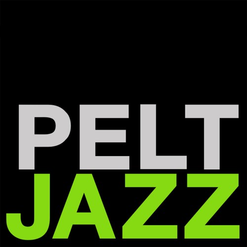 Pelt Jazz  /  Double Bill     Steven De Bruyn-Bart van Dongen  /  Nathan Surquin quartet