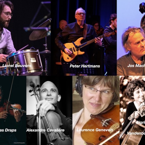 Peter Hertmans String Septet : Elegy for the World