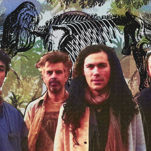Echoes of Zoo