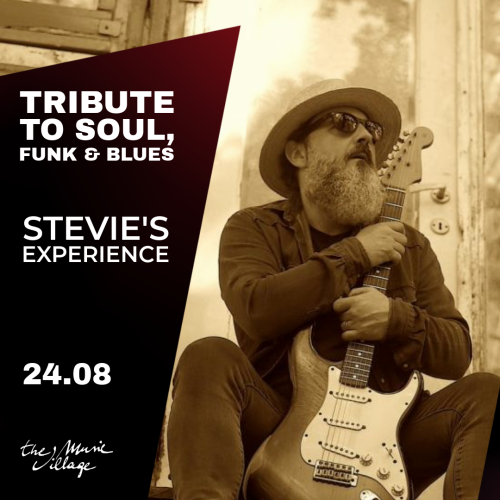 Stevie's Experience