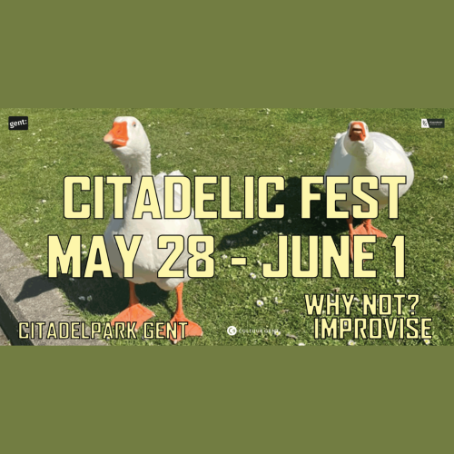 Citadelic Festival