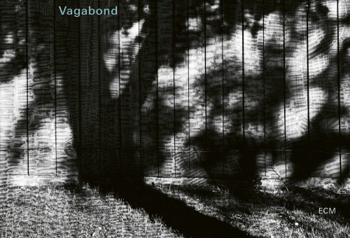 Belgische bassist Nicolas Fiszman op 'Vagabond' van Dominic Miller
