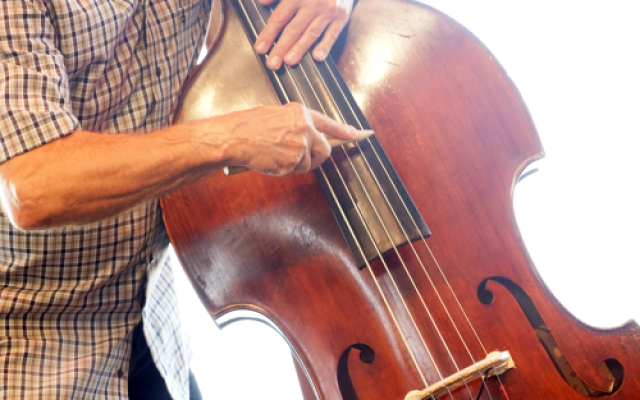 New newsletter jazz'halo - May 2025