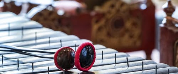 Oproep voor muzikanten : Campus 2026 van Fondation Royaumont