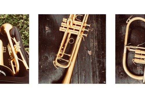 URGENT: Greg Houben's instruments have been stolen