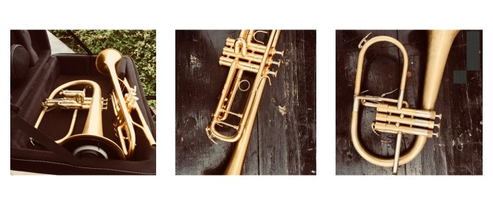 URGENT: Greg Houben's instruments have been stolen